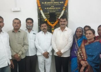 विरोधकावरील टीकेऐवजी ग्राम विकासाला  प्राधान्य  : माजी मंत्री दत्तात्रय भरणे