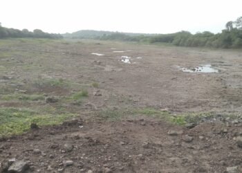 ऐन पावसाळ्यात नीरा नदी कोरडी पडल्याने इंदापूर तालुक्यातील शेतकरी चिंतेत