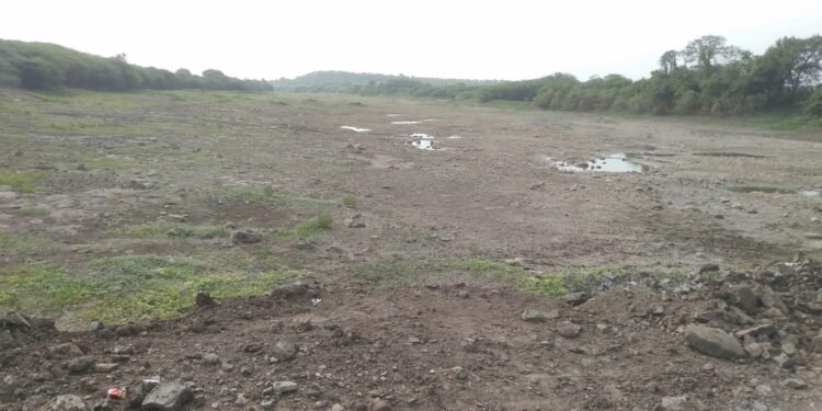 ऐन पावसाळ्यात नीरा नदी कोरडी पडल्याने इंदापूर तालुक्यातील शेतकरी चिंतेत