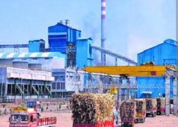 इंदापूर तालुक्यात उसाच्या क्षेत्रात यावर्षी 3 हजार हेक्टरची घट , गाळपाचे उद्दिष्ट पूर्ण करण्यासाठी साखर कारखान्यांना करावी लागणार आव्हानात्मक कसरत