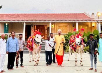 माजी मंत्री हर्षवर्धन पाटील यांचेकडे परंपरेनुसार  खिलार बैलजोडीचे व गाईचे पूजन करून बैलपोळा सण बावडा येथे उत्साहात साजरा