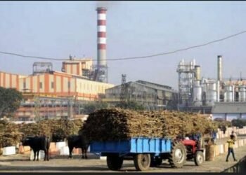 ऊस उत्पादक शेतकऱ्यांसाठी गुड न्यूज  राज्यातील साखर कारखान्यांचा गळीत हंगाम गळीत  हंगाम येत्या 1 नोव्हेंबरपासून  सुरु होणार  मंत्री समितीच्या बैठकीत निर्णय