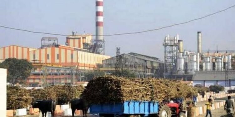 ऊस उत्पादक शेतकऱ्यांसाठी गुड न्यूज राज्यातील साखर कारखान्यांचा गळीत हंगाम गळीत हंगाम येत्या 1 नोव्हेंबरपासून सुरु होणार मंत्री समितीच्या बैठकीत निर्णय