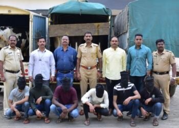 कोतवाली पोलिसांची मोठी कारवाई वेगवेगळ्या ठिकाणी गोवंशीय जनावरांना डांबून ठेवून त्यांची कत्तल करणाऱ्या सहा आरोपींवर  गुन्हा दाखल करून घेतले ताब्यात ; ५ लाख ६० हजार किमतीचा मुद्देमाल जप्त