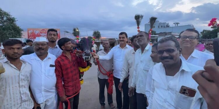 *स्वतः शेतकरी असलेल्या कृषी मंत्री दत्तात्रय भरणे यांनी  गावकऱ्यांसोबत साजरा केला बैलपोळा*